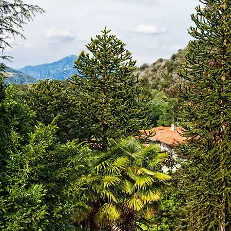 Hotel Alpino 3*